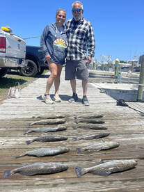 Great trout fishing going on 