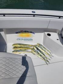 Marathon Report Photo 2