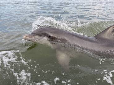 Hilton Head Island Report Photo 2