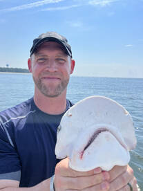 Hilton Head Island Report Photo 1