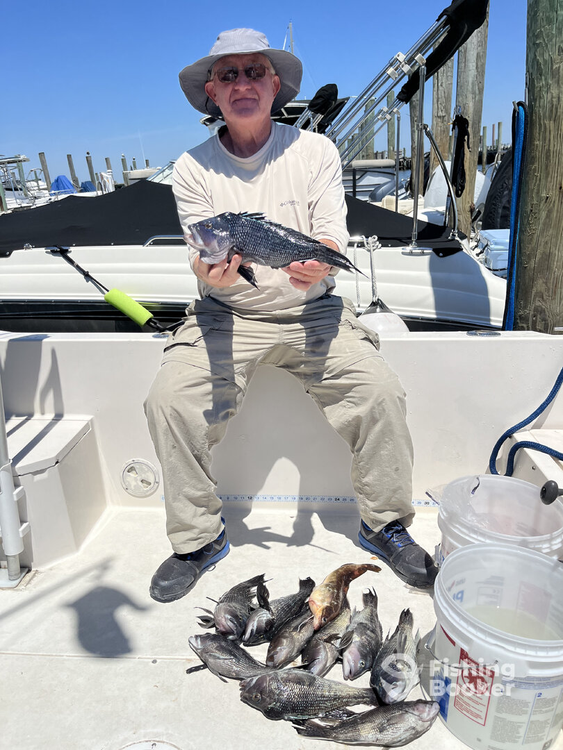 Highlands Report Photo 0