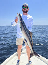 Cobia bite has been hott