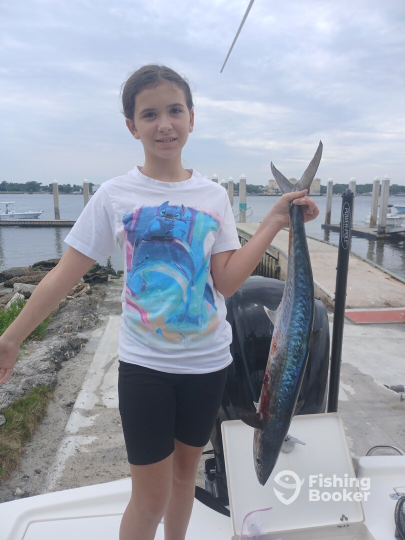 Jacksonville Report Photo 0