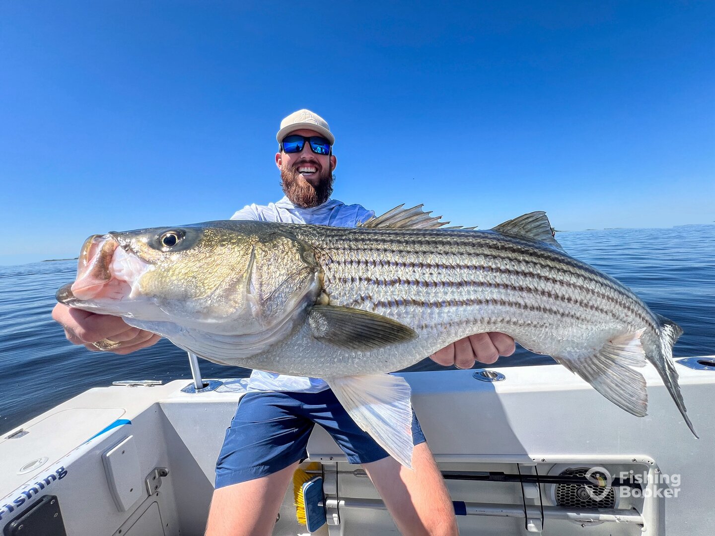 Newport Report Photo 0