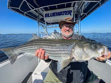 Newport Report Photo 2