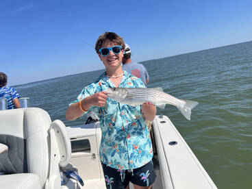 Annapolis Report Photo 1