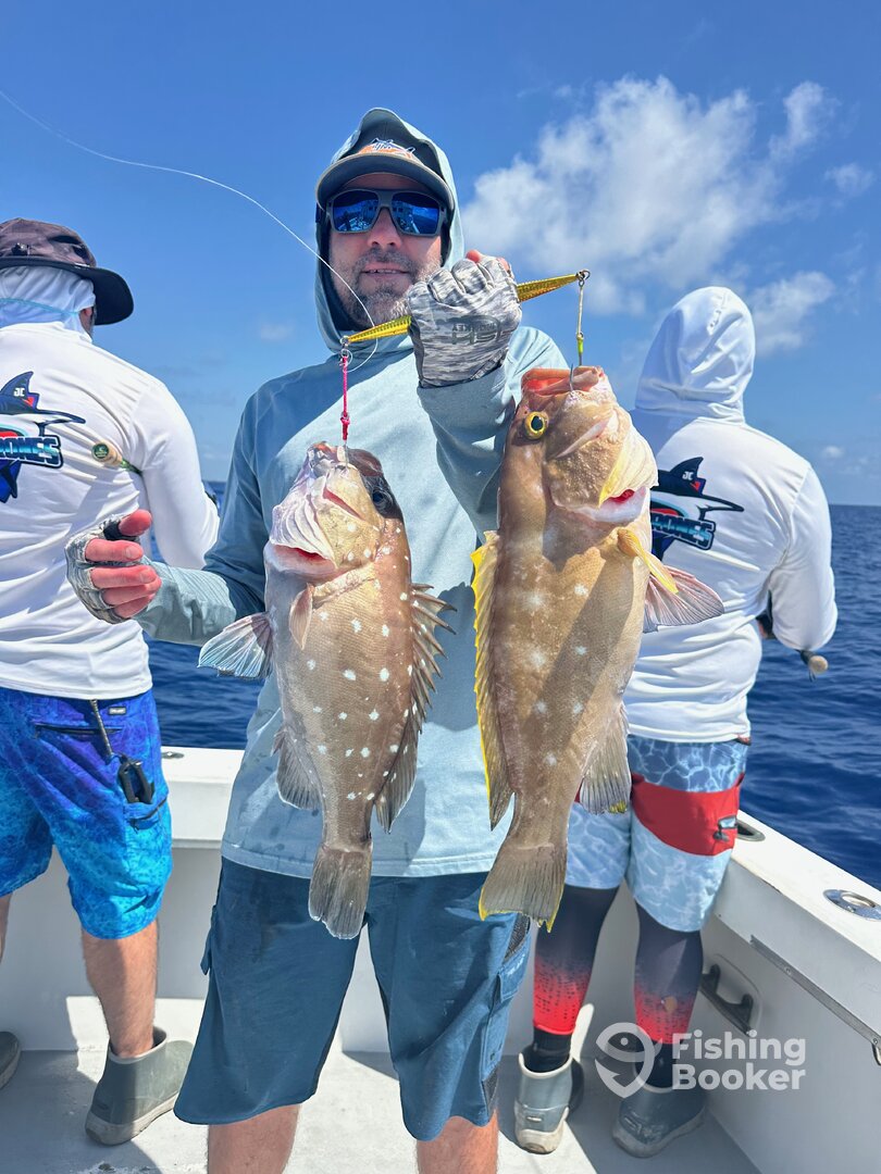 Dania Beach Report Photo 0