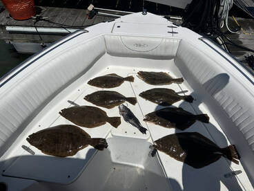 Cape May Report Photo 2