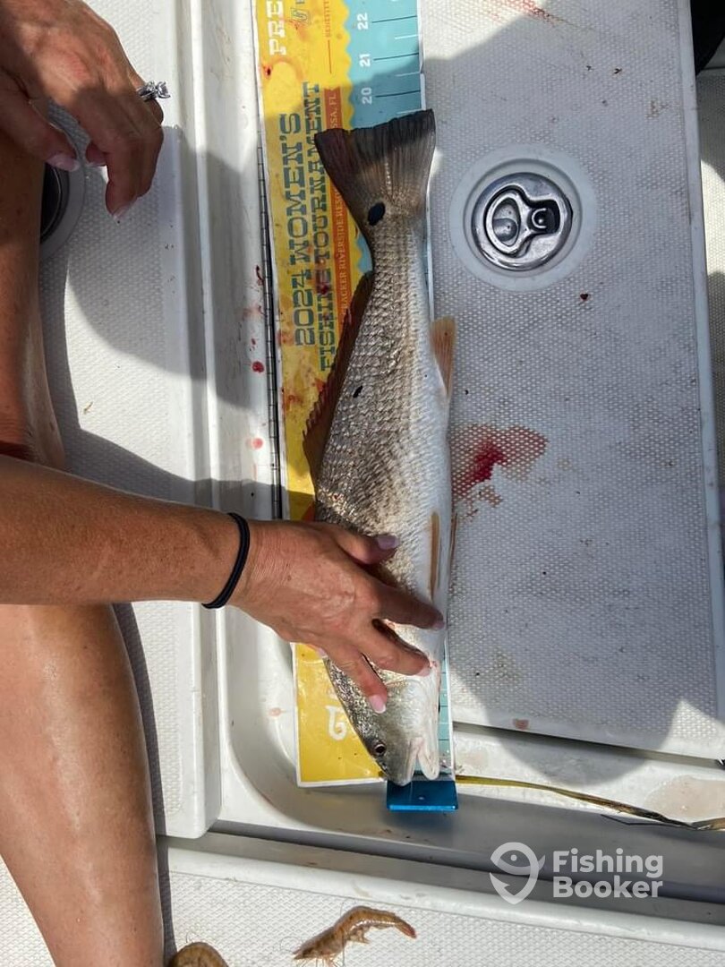 Crystal River Report Photo 0