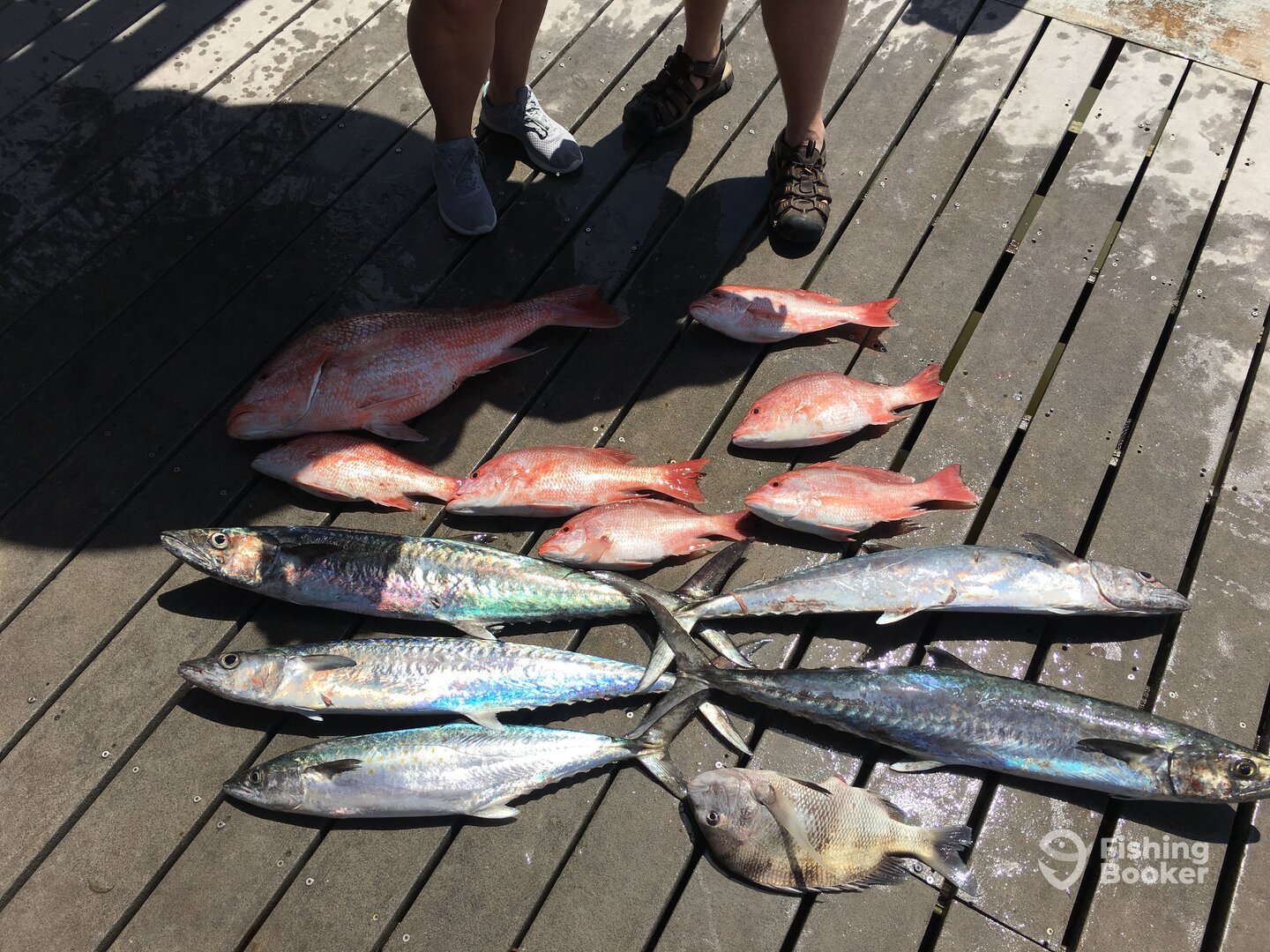 Freeport Report Photo 0