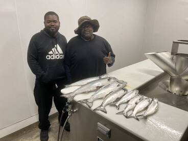 Salmon season in full swing 