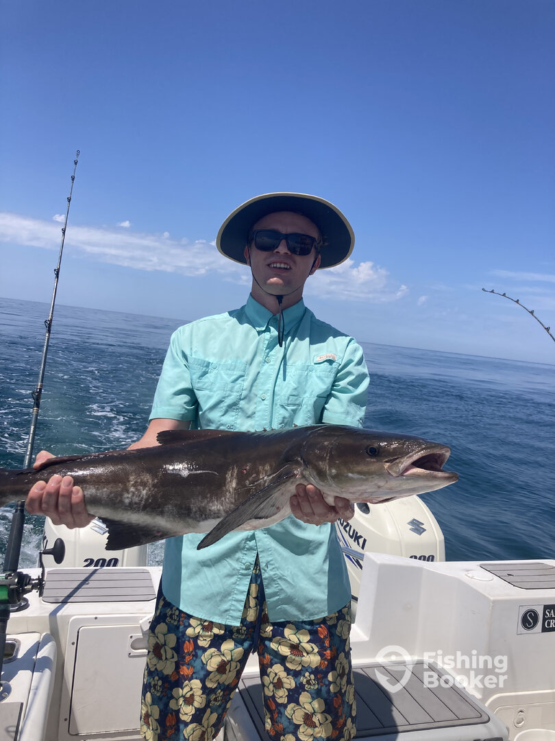 Manteo Report Photo 0