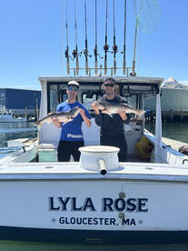 Striped Bass Beatdown!!