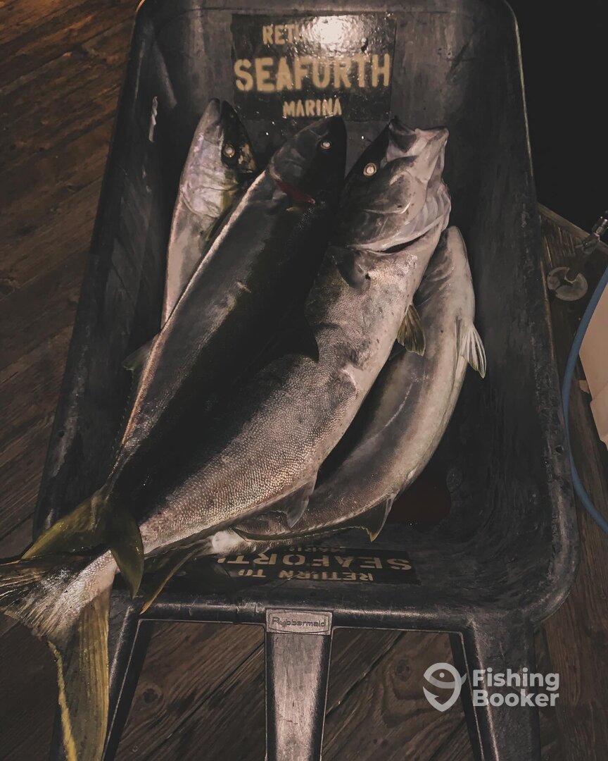 San Diego Report Photo 0