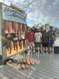 Red Snapper Season Is Open On Championsh