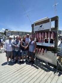 Snappers are chewing