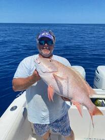 Great Mahi Bite in Marathon