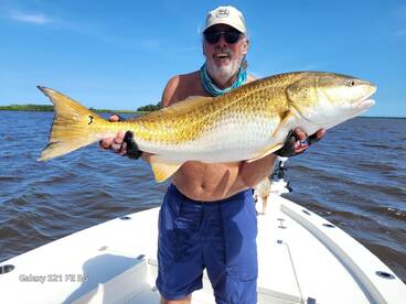 Big Red Drum still here!