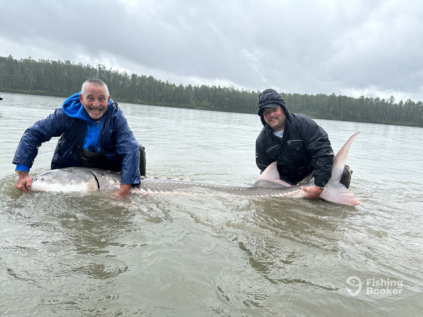 Chilliwack Report Photo 0