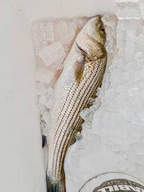 Moncks Corner Report Photo 1