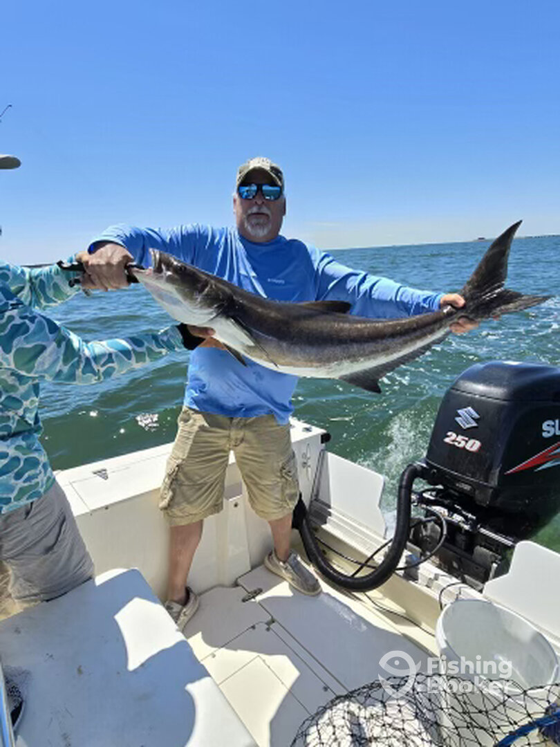 Hampton Report Photo 0