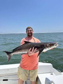 Hampton Report Photo 1