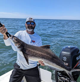 Hampton Report Photo 2