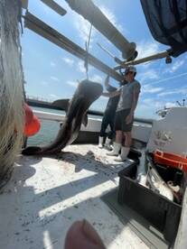 Fort Morgan Report Photo 1