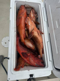 San Diego Report Photo 1