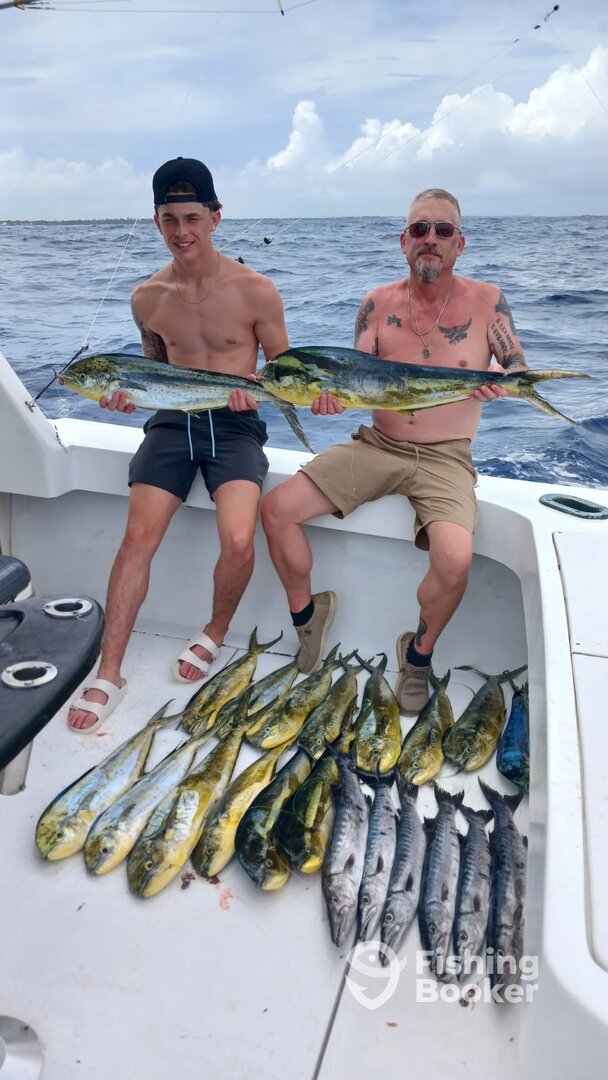 Punta Cana Report Photo 0