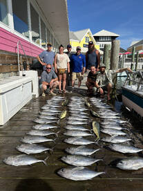 Great Blackfin Tuna bite today