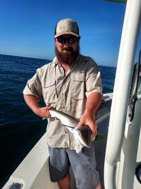 Murrells Inlet Report Photo 2