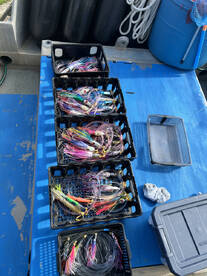 Hawaiian lures and calm wind .