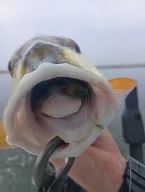 San Antonio Report Photo 2