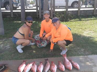 Panama City Report Photo 2