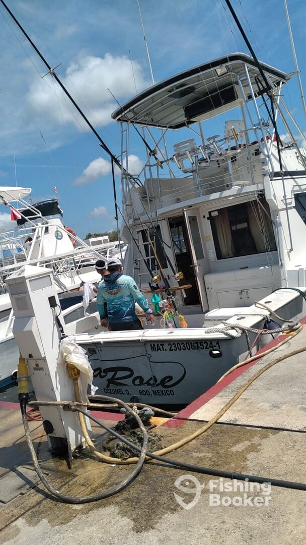 San Miguel De Cozumel Report Photo 0