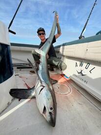 Shark half day