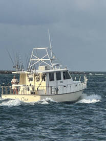 Orange Beach Report Photo 1