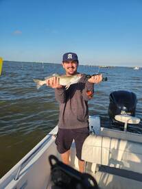 Empire Report Photo 1