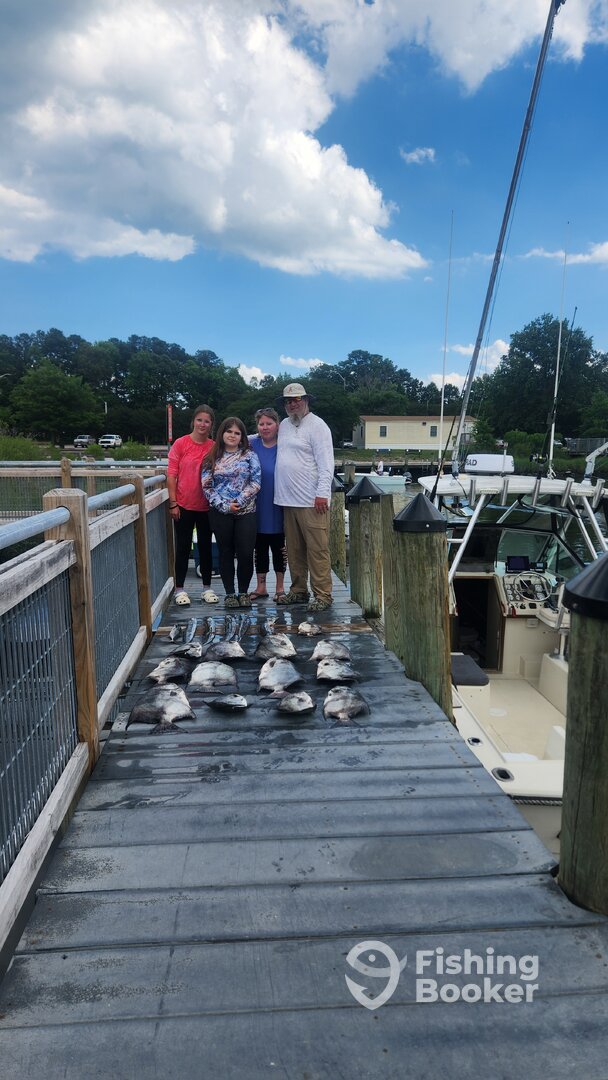 Virginia Beach Report Photo 0