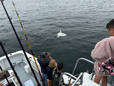 Sunfish show up on the way in.