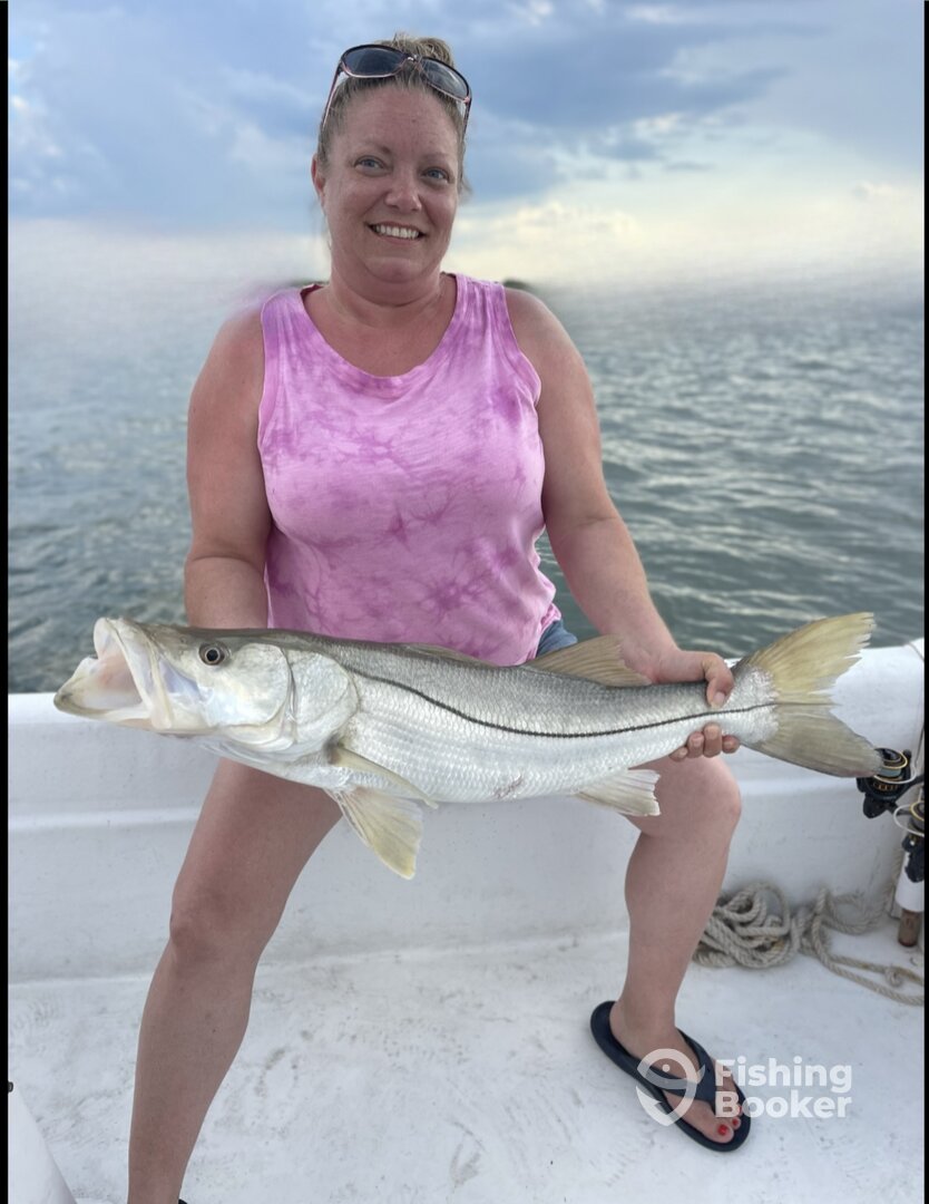 Orlando Report Photo 0