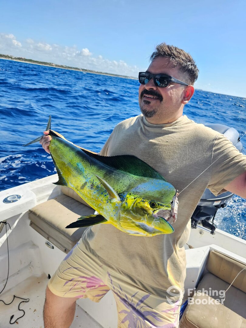 Playa Del Carmen Report Photo 0