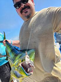 Playa Del Carmen Report Photo 2