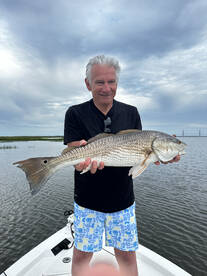 Jekyll Island Report Photo 1