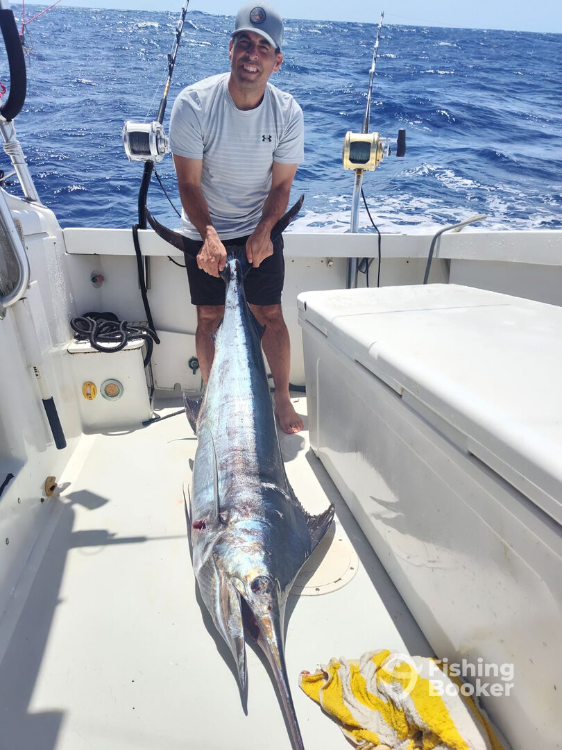 Haleiwa Report Photo 0