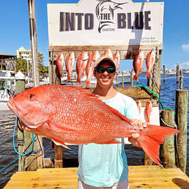 Destin Report Photo 2