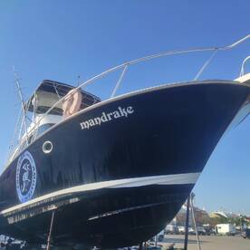 And we are ready to go figth.....