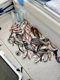 Poreč Report Photo 3