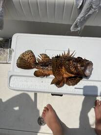 Poreč Report Photo 2